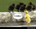 uratilor_poze_haioase_prietenas_ro_1
