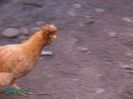 IMG_0188