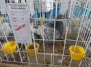 SAM_4856