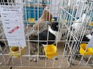 SAM_4858