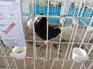 SAM_4867