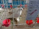 SAM_4892