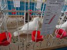SAM_4895