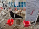 SAM_4896