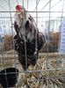 SAM_4933