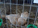 SAM_5144