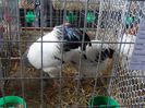 SAM_5173