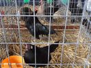 SAM_5181