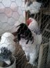 20140222_170329