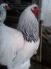 20140222_170432