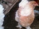 20140222_171504