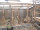DSCN3681