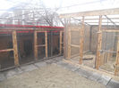 DSCN3682