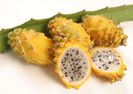 Pitaya-fruct galben