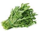 rukola