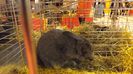 DSCF0351