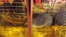 DSCF0353