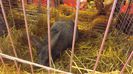 DSCF0366