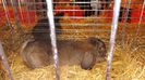 DSCF0447