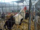 DSC02505