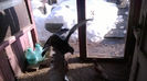 WP_20140209_026