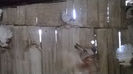 WP_20140209_032