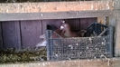 WP_20140209_037