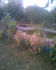 Imag058
