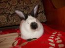 Picture 127
