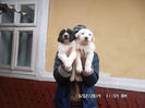 SAM_4449