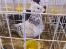 S8305307