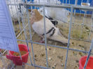 S8305319