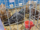 S8305322