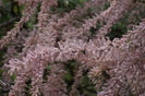 DSC04702
