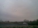 24022014(005)