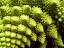 romanesco