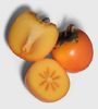 Persimmon-fruct