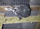 IMG-20140224-00049
