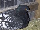 IMG-20140224-00051