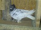 IMG-20140225-00085