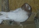 IMG-20140225-00089