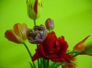 DSC07507