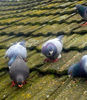 20140226_104435 modified
