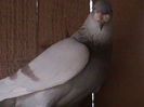 DSC00463
