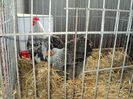 DSC03351
