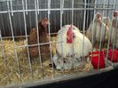 DSC03357