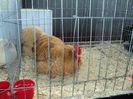 DSC03366