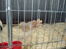DSC03369