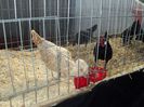 DSC03371