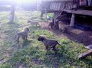 IMG1180A